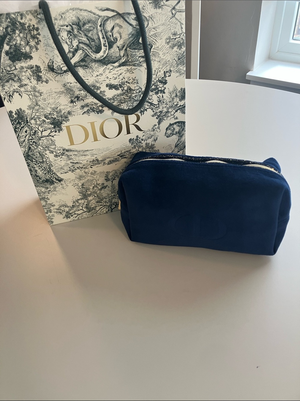 Dior cosmetic bag with gift bag